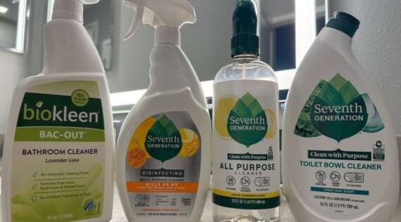 Eco-Friendly & Non-Toxic House Cleaning in Oviedo, FL